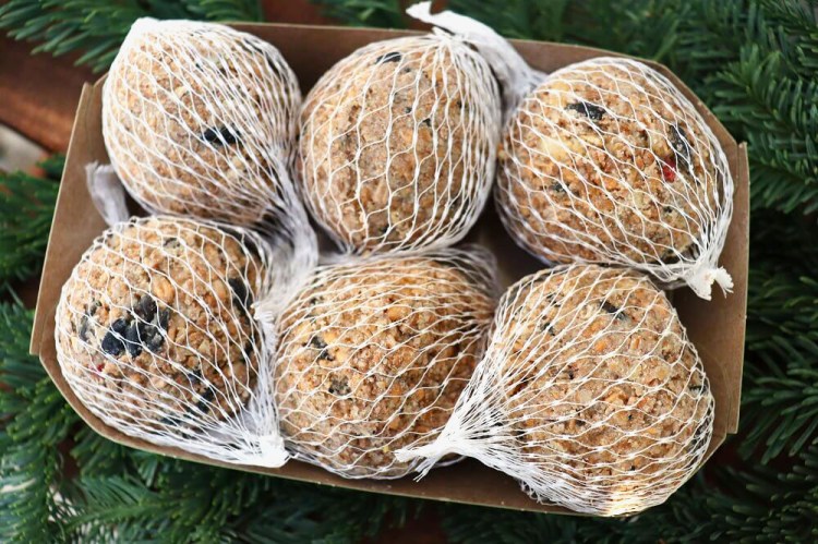 Nahaufnahme von 6 ausgepackten Insektenknödeln von Land Patrie