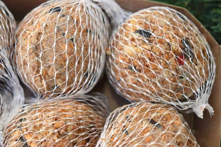 Nahaufnahme von Insektenknödeln mit Nüssen und Früchten im weißen Netz