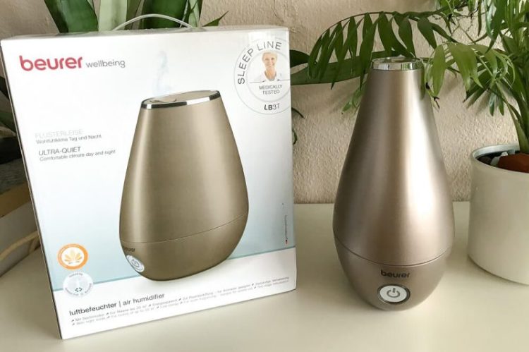 Beurer LB37 Luftbefeuchter in Toffee neben Originalverpackung und kleiner Bergpalme – stilvolle Kombination aus Technik und Natur.