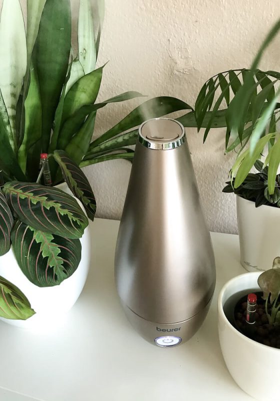 Beurer LB37 Luftbefeuchter umgeben von vielen kleinen Jungpflanzen – frische Luft trifft auf grünes Wachstum.