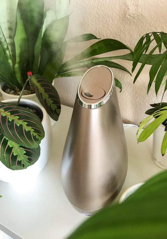 Beurer LB37 Luftbefeuchter neben vielen kleinen Jungpflanzen – Übersicht aus größerer Perspektive.