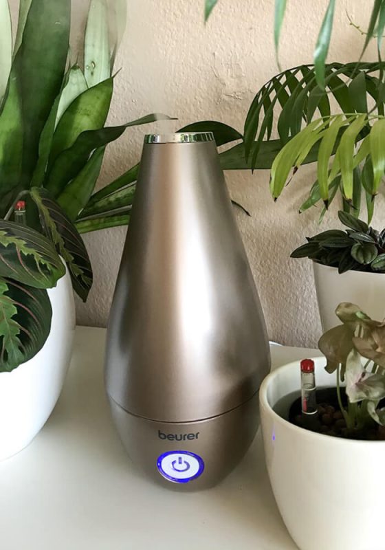 Beurer LB37 Luftbefeuchter mit beleuchtetem Powerknopf, umgeben von kleinen Jungpflanzen – Technik trifft Natürlichkeit.