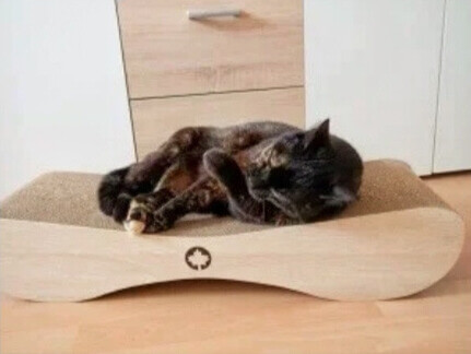 Katze liegt ebtspannt auf dem nachhaltigen Kratzbrett in Holzoptik und putzt sich gemütlich.